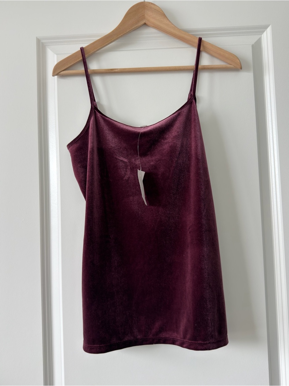 LOFT Velvet Burgundy Slip Cami